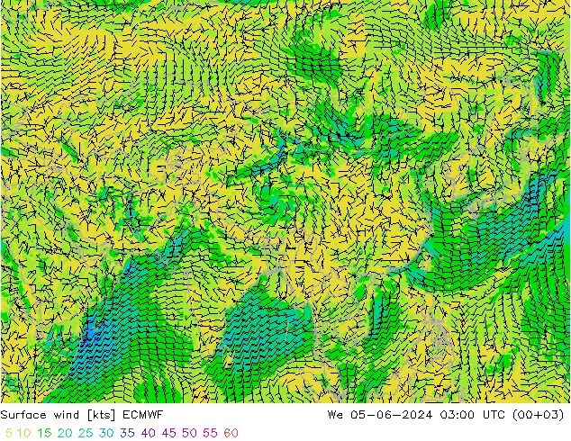 Surface wind ECMWF We 05.06.2024 03 UTC