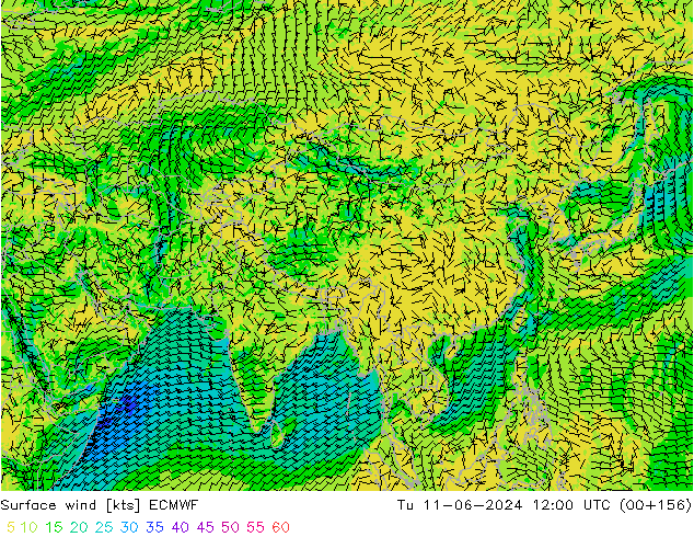 Surface wind ECMWF Tu 11.06.2024 12 UTC