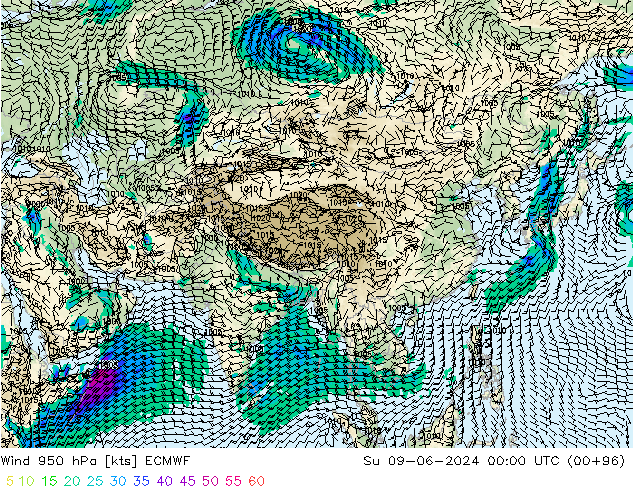 wiatr 950 hPa ECMWF nie. 09.06.2024 00 UTC