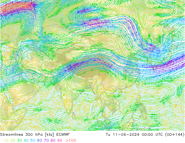 Streamlines 300 hPa ECMWF Tu 11.06.2024 00 UTC