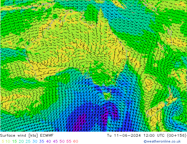 ветер 10 m ECMWF вт 11.06.2024 12 UTC