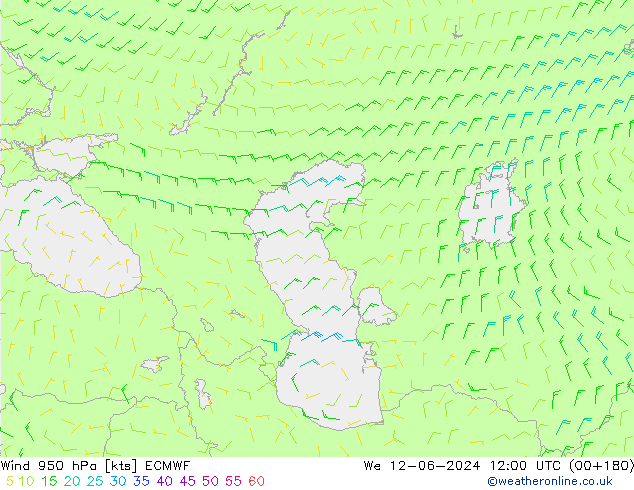 Wind 950 hPa ECMWF St 12.06.2024 12 UTC