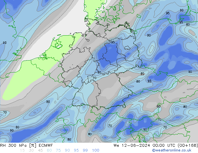 RH 300 hPa ECMWF mer 12.06.2024 00 UTC