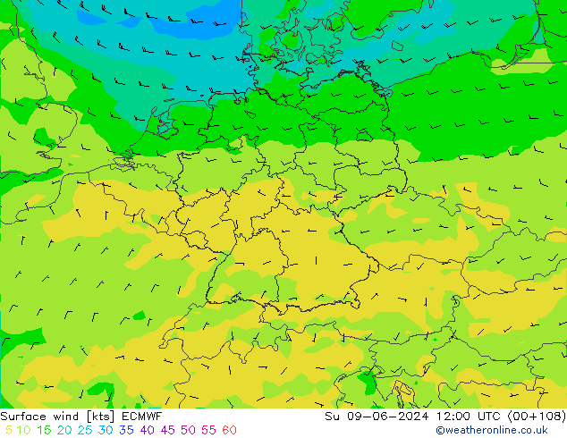 Prec 6h/Wind 10m/950 ECMWF  09.06.2024 12 UTC