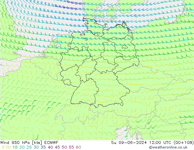 Prec 6h/Wind 10m/950 ECMWF Su 09.06.2024 12 UTC