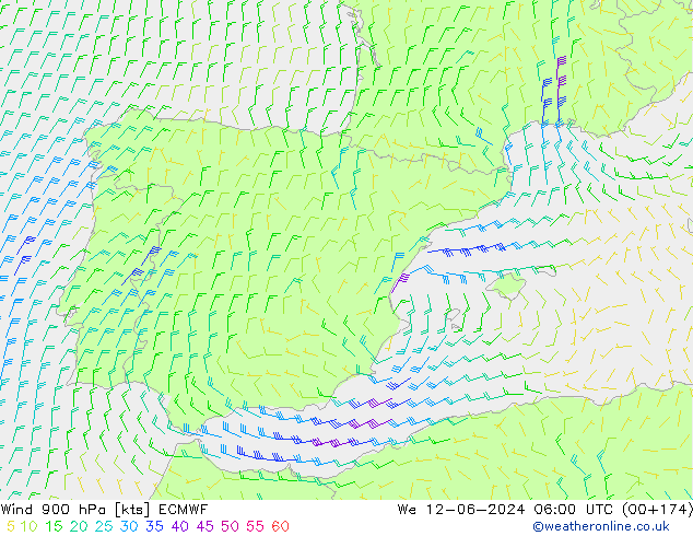 Wind 900 hPa ECMWF St 12.06.2024 06 UTC