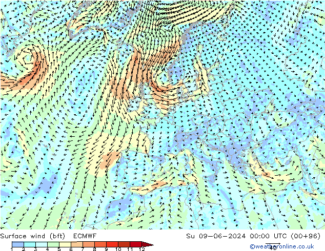  10 m (bft) ECMWF  09.06.2024 00 UTC