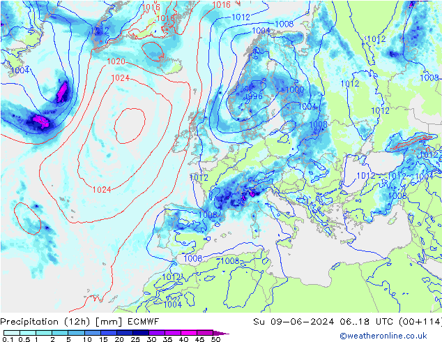 Precipitation (12h) ECMWF Su 09.06.2024 18 UTC