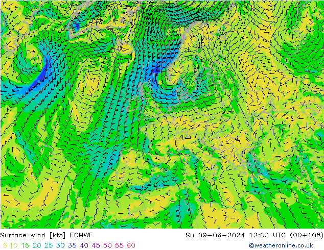 Vento 10 m ECMWF Dom 09.06.2024 12 UTC