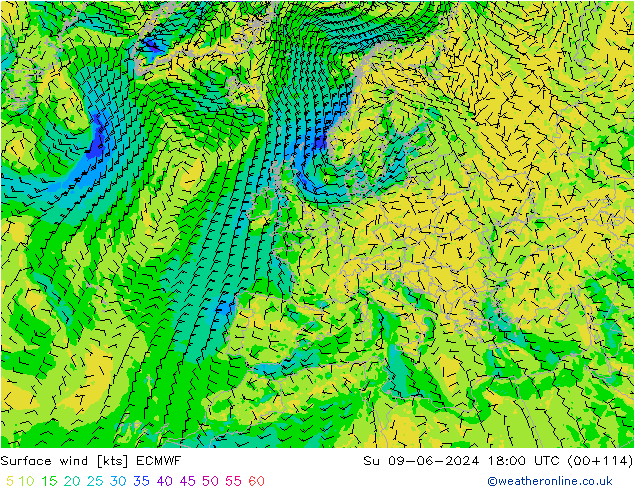 Surface wind ECMWF Su 09.06.2024 18 UTC