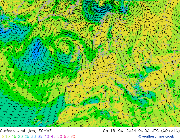 ветер 10 m ECMWF сб 15.06.2024 00 UTC