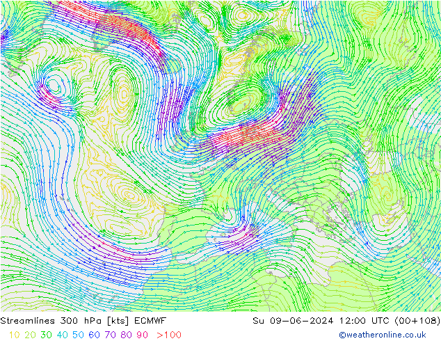 Streamlines 300 hPa ECMWF Su 09.06.2024 12 UTC