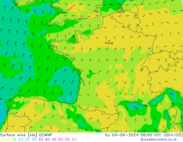 Surface wind ECMWF Ne 09.06.2024 06 UTC