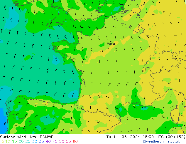 Wind 10 m ECMWF di 11.06.2024 18 UTC