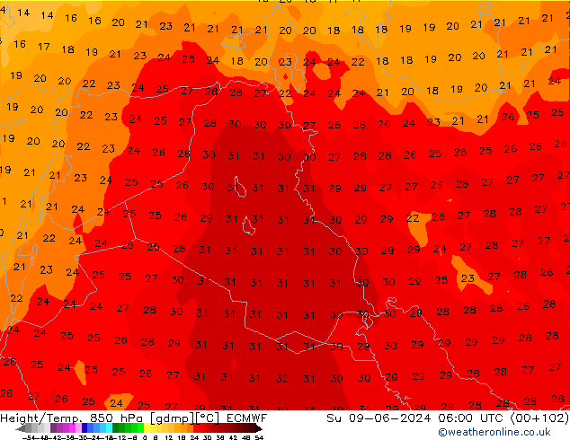 Z500/Rain (+SLP)/Z850 ECMWF Su 09.06.2024 06 UTC