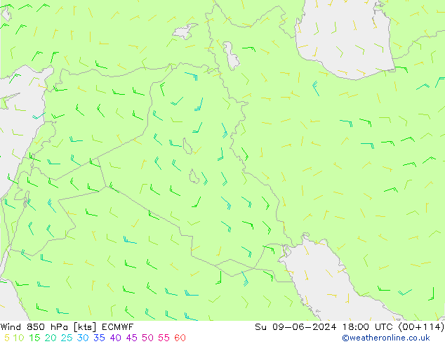 Viento 850 hPa ECMWF dom 09.06.2024 18 UTC