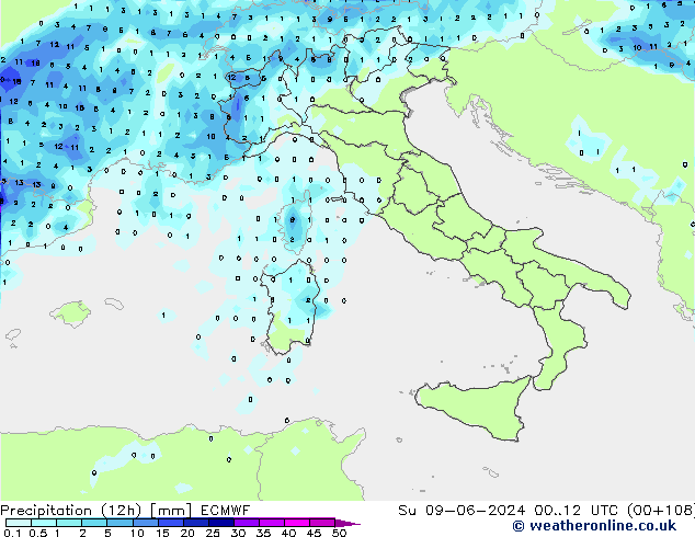 Yağış (12h) ECMWF Paz 09.06.2024 12 UTC