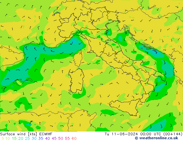 Bodenwind ECMWF Di 11.06.2024 00 UTC