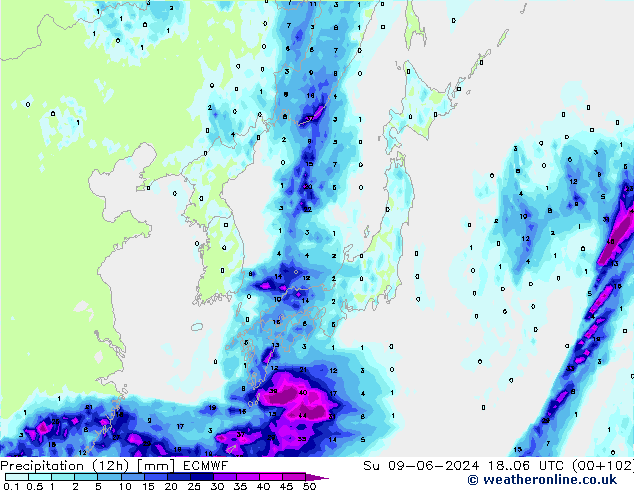 Totale neerslag (12h) ECMWF zo 09.06.2024 06 UTC