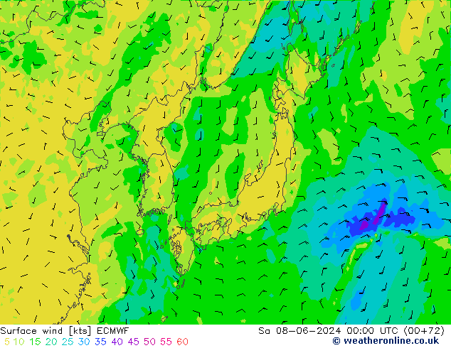 Viento 10 m ECMWF sáb 08.06.2024 00 UTC