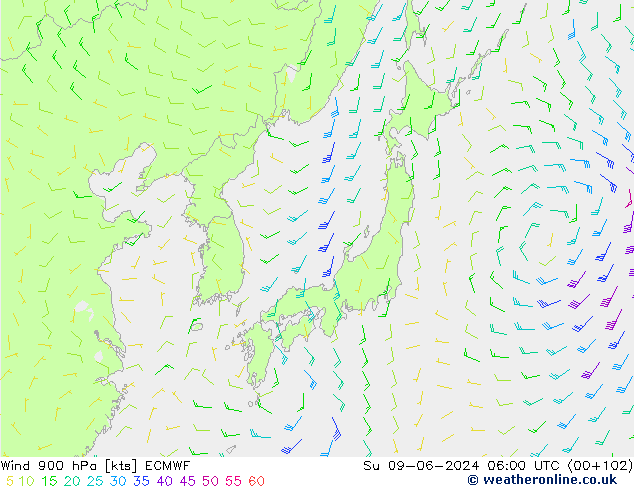 Vento 900 hPa ECMWF dom 09.06.2024 06 UTC