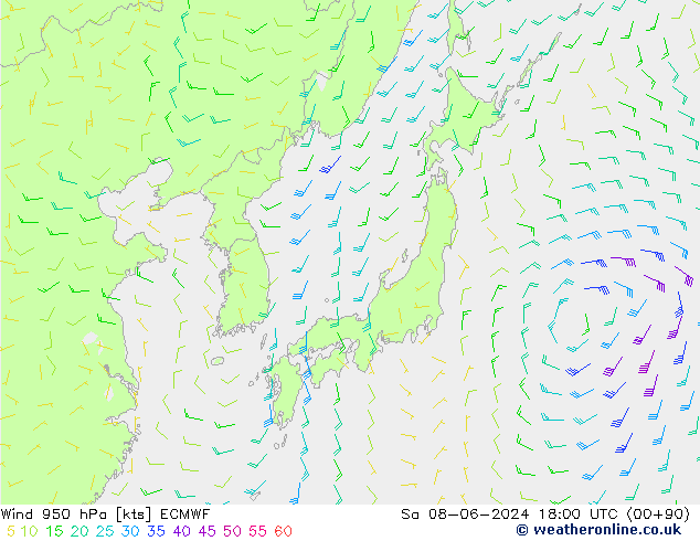 Wind 950 hPa ECMWF za 08.06.2024 18 UTC