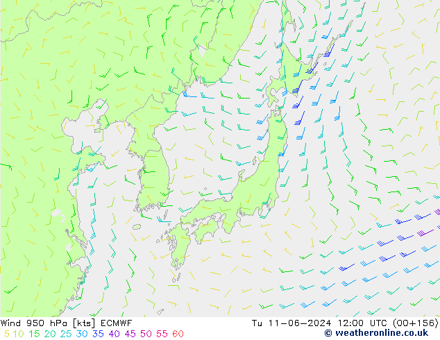 Wind 950 hPa ECMWF Tu 11.06.2024 12 UTC