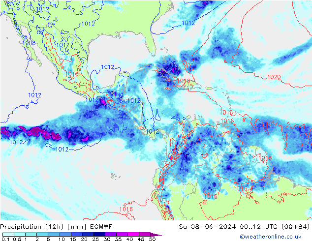 Precipitation (12h) ECMWF Sa 08.06.2024 12 UTC