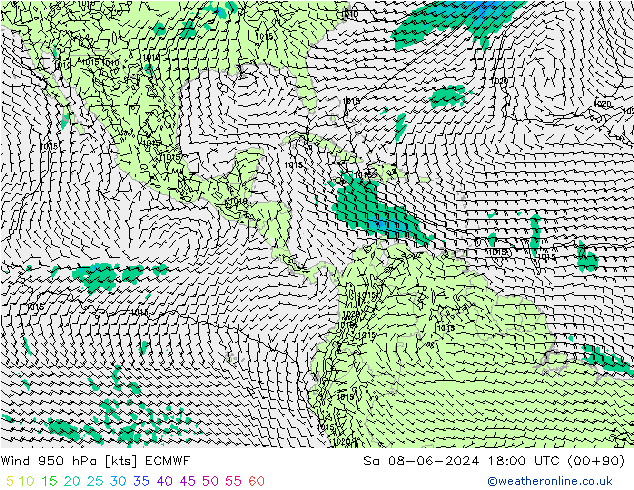 Wind 950 hPa ECMWF Sa 08.06.2024 18 UTC