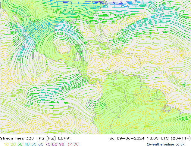 Linha de corrente 300 hPa ECMWF Dom 09.06.2024 18 UTC