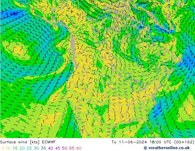 Wind 10 m ECMWF di 11.06.2024 18 UTC