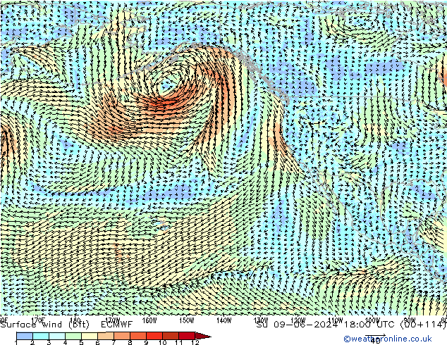 Rüzgar 10 m (bft) ECMWF Paz 09.06.2024 18 UTC