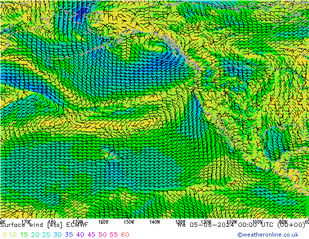  10 m ECMWF  05.06.2024 00 UTC