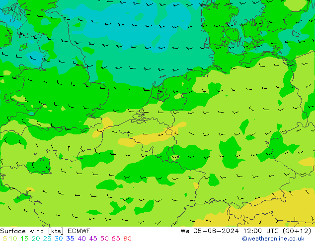 Vent 10 m ECMWF mer 05.06.2024 12 UTC