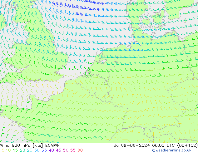 Wind 900 hPa ECMWF Su 09.06.2024 06 UTC