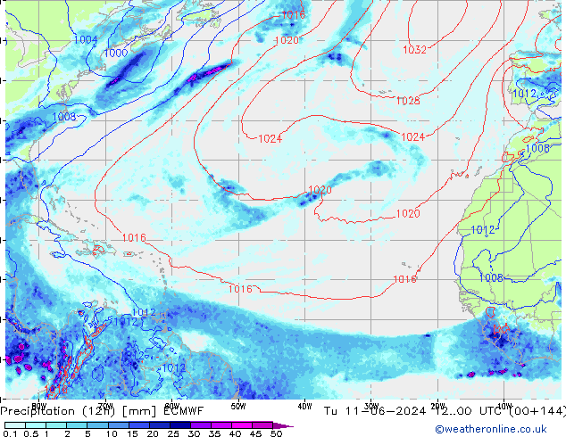 Precipitation (12h) ECMWF Tu 11.06.2024 00 UTC