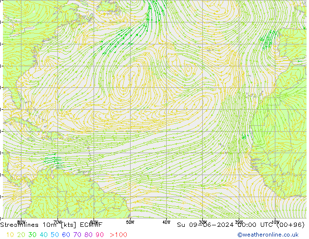 Streamlines 10m ECMWF Su 09.06.2024 00 UTC