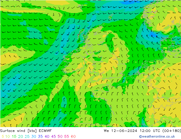 Vent 10 m ECMWF mer 12.06.2024 12 UTC