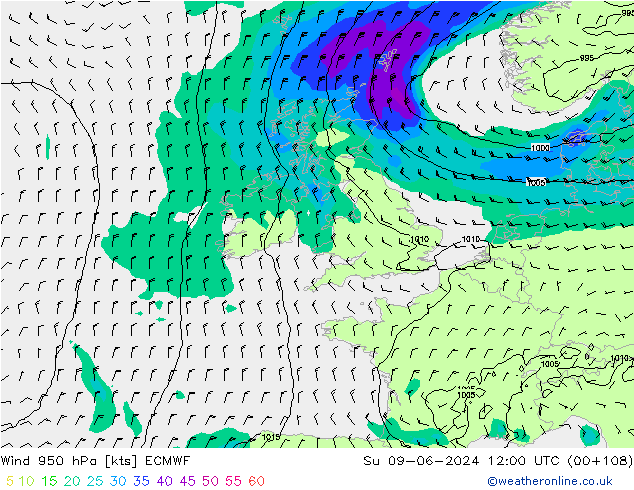  950 hPa ECMWF  09.06.2024 12 UTC