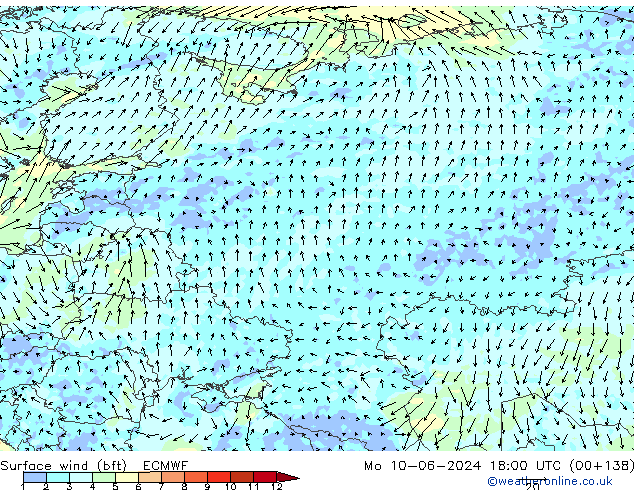 Rüzgar 10 m (bft) ECMWF Pzt 10.06.2024 18 UTC