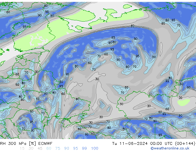 RH 300 гПа ECMWF вт 11.06.2024 00 UTC