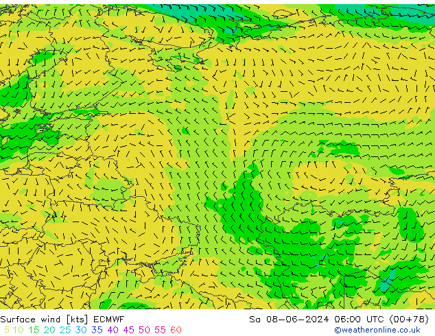 ветер 10 m ECMWF сб 08.06.2024 06 UTC