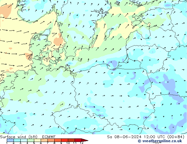 ве�Bе�@ 10 m (bft) ECMWF сб 08.06.2024 12 UTC