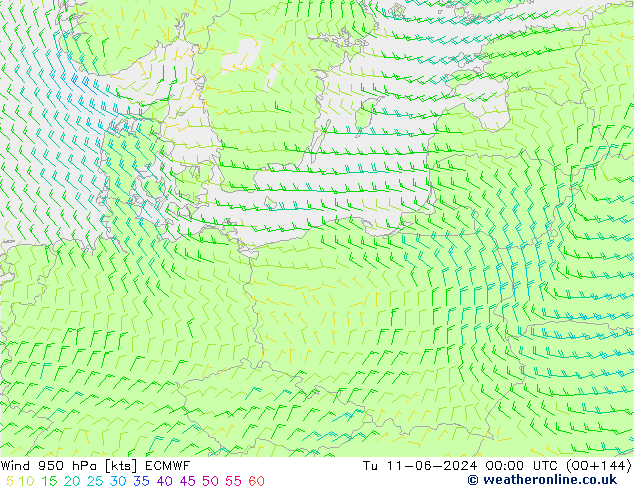 ветер 950 гПа ECMWF вт 11.06.2024 00 UTC