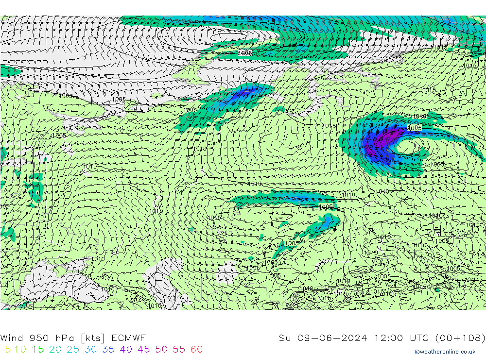 ветер 950 гПа ECMWF Вс 09.06.2024 12 UTC