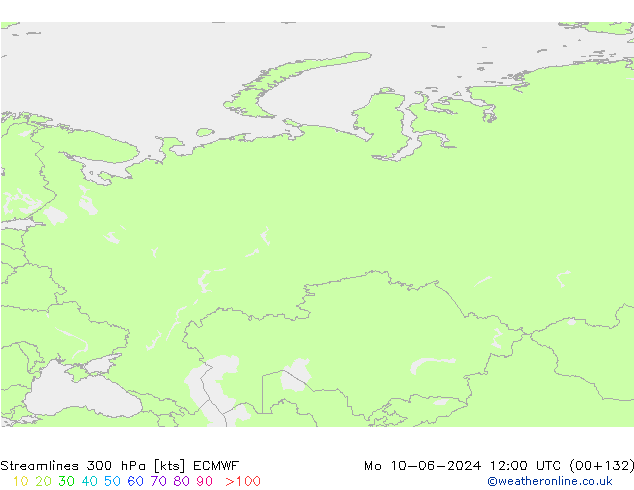 Streamlines 300 hPa ECMWF Mo 10.06.2024 12 UTC