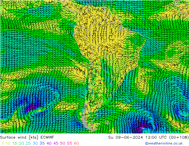 Surface wind ECMWF Su 09.06.2024 12 UTC