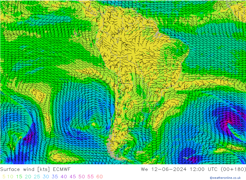 Wind 10 m ECMWF wo 12.06.2024 12 UTC