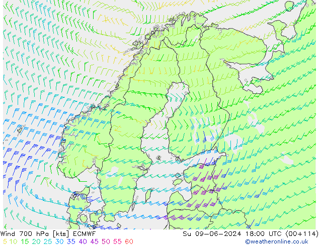 wiatr 700 hPa ECMWF nie. 09.06.2024 18 UTC