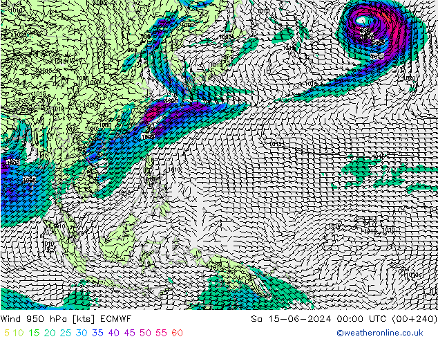 ветер 950 гПа ECMWF сб 15.06.2024 00 UTC